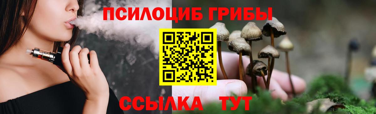 Галлюциногенные грибы Cubensis  Вход с VPN  Галлюциногенные грибы Psilocybe  Гусев 
